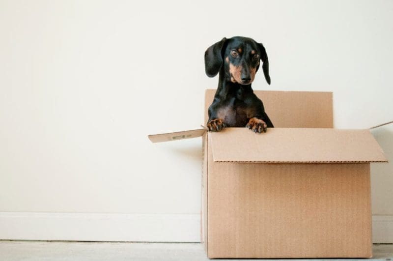 How to pack moving boxes SimpleMoves.ca
