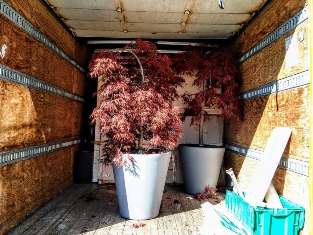 Moving Guide How to Pack and Move Your Houseplants ⭐⭐⭐⭐⭐ Simple Moves & Storage